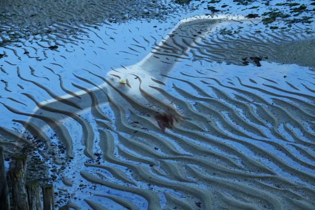 Sandy Wave