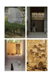 02 TABLEAU 40 X 60 CM VOLPE