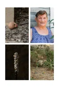 04 TABLEAU 40 X 60 Cm Gramigna