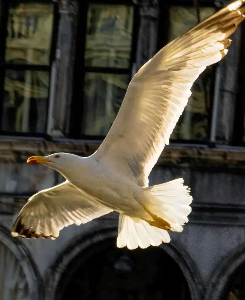 Venedig 01