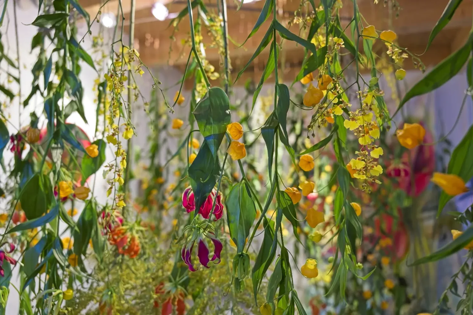 KOOIO Sommerfest 2025 Florale Welten 006